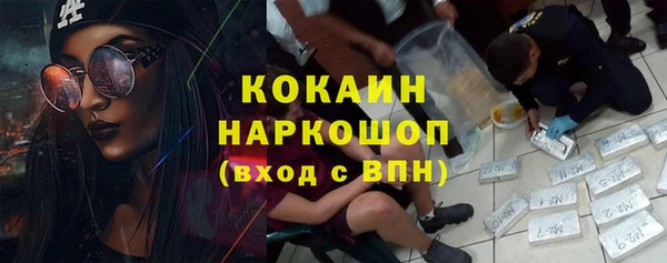 стаф Аркадак