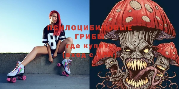 молекула духа Алзамай