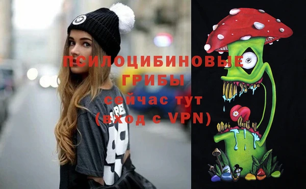 мет Алексин